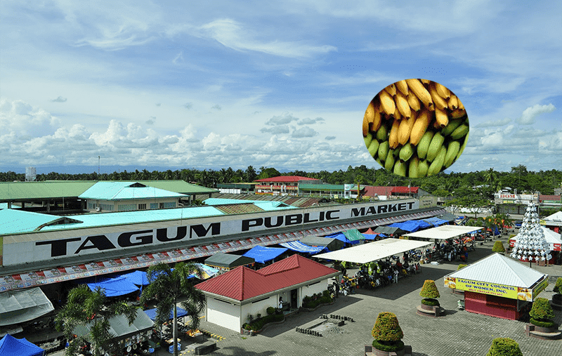 tagum city public market